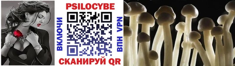 Галлюциногенные грибы Psilocybine cubensis Пудож